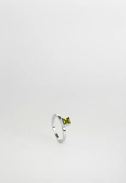 Bague Nature Argent