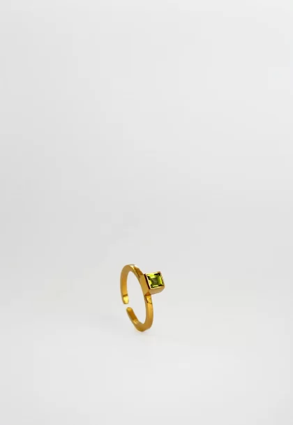 Bague Nature Vermeil